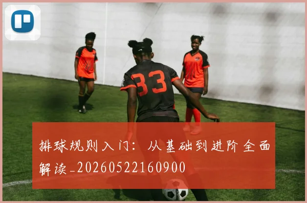 排球规则入门：从基础到进阶全面解读_20260522160900